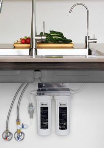 Undersink water filter